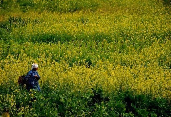 清明节超强拼假攻略！最长休8天，这些地方可以玩起来了！