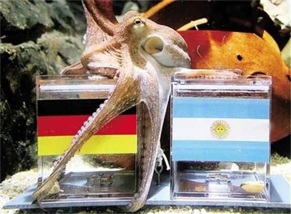 原创俄罗斯世界杯神预测!喵星人上位,挑战章