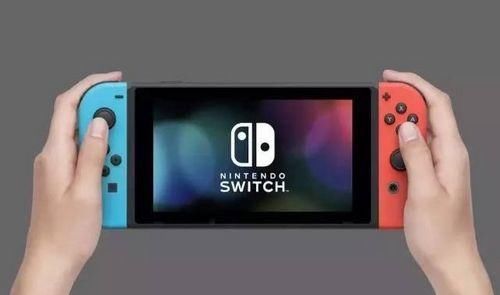 购买switch送2年会员是啥会员 t01436a8d8f1a4e65a2.jpg