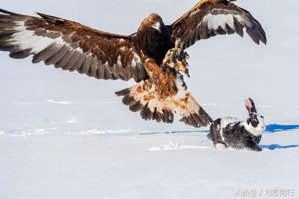 大美新疆 锦绣昭苏