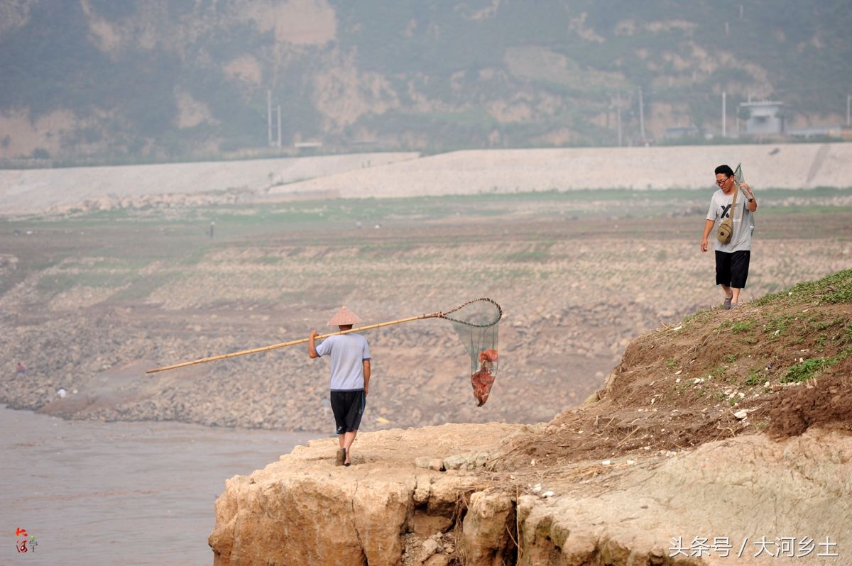 黄河流鱼奇观不再，大叔河边等一天捞了三条鱼，有人却摸起了螃蟹