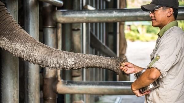 千万别做保育员