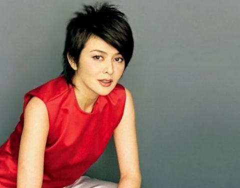 香港的美女明星,李嘉欣第二,第一实至名归