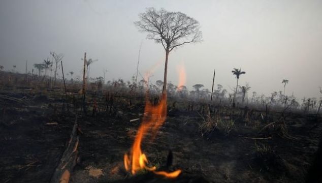 亚马孙雨林已经燃烧3周：大火背后的政经博弈