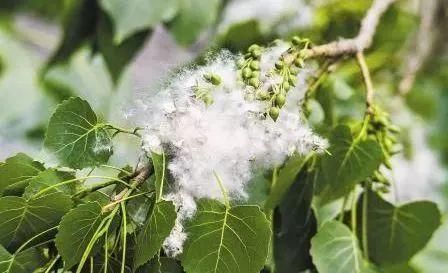 暴击入夏！再降骤雨！“飘雪”不断，这周魔都的天气下死手了……