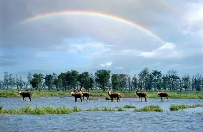 武汉辣妈网2019五一小长假活动安排汇总