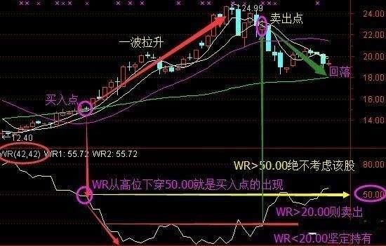 中国股市加速进入“血洗时代”，处于水深火热的散户该怎么办？