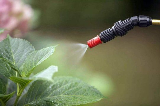 滴恩果蔬清洗机：远离农药残留拥抱健康生活(图1)