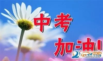 t0144a57516be8252e3.jpg