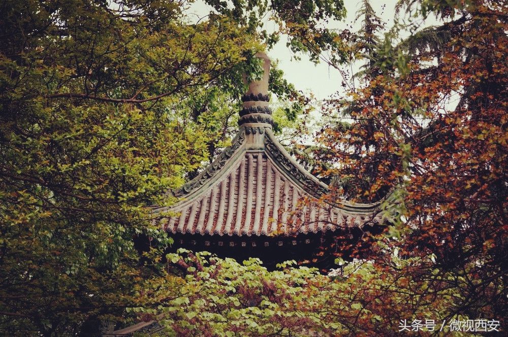 华山自古一条路，古道深处有古观