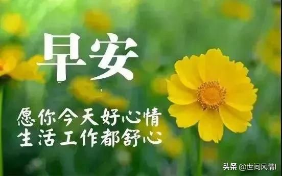 怎样让自己变得坚强起来 t0144ba51db27962630.jpg
