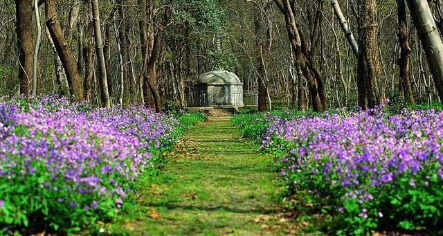 媲美九寨沟!来南京最美古刹,感受绝色美景,无数人心中的天堂!