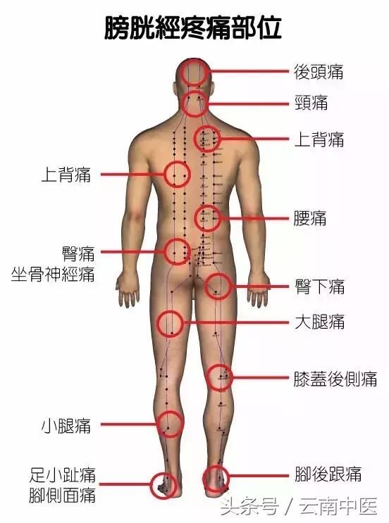 哪里有不适，就可能是哪里的经络出问题了