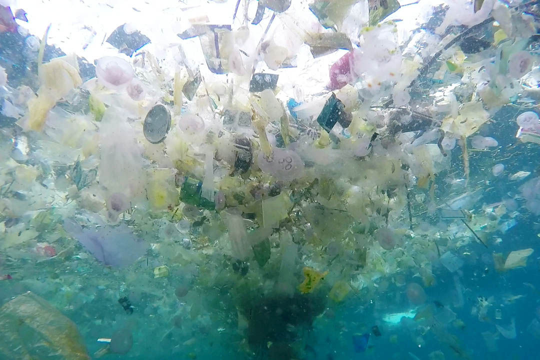 男子巴厘岛水下拍摄 人间天堂尽是塑料垃圾