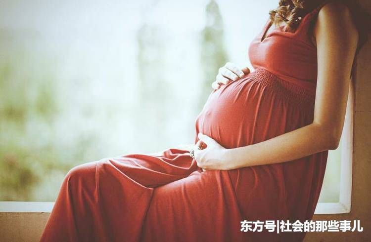 月子期间婆婆天天熬鸡汤，我进厨房看到袋子的肉，老公把婆婆撵走