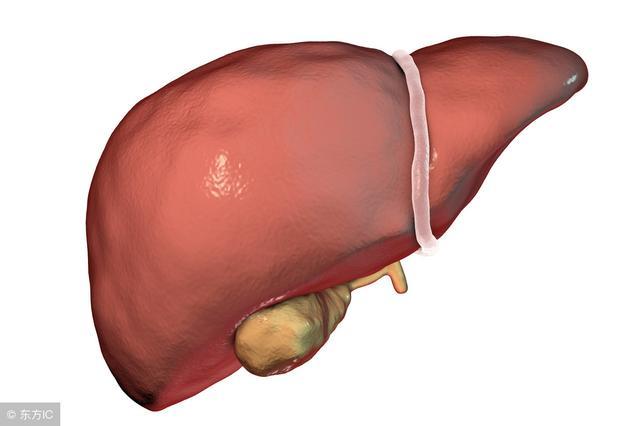 肝硬化患者出现拉肚子的症状,这是怎么回事?原