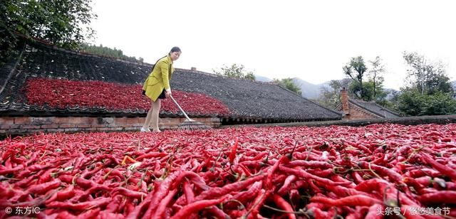 中国最能吃辣的省是的哪个?贵州.湖南.还是四川?