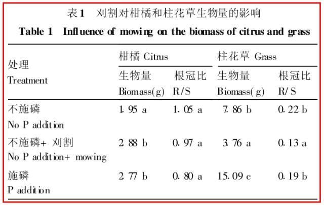 都知道果园生草栽培好处多，具体怎么做？