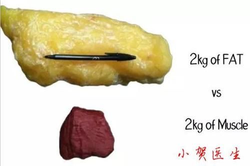 减肥茶对于减肥,有用吗?_【今日爆点】