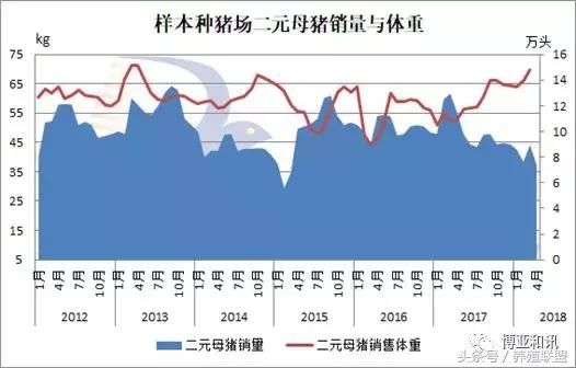 透过这些数据，看清6月份猪价走势