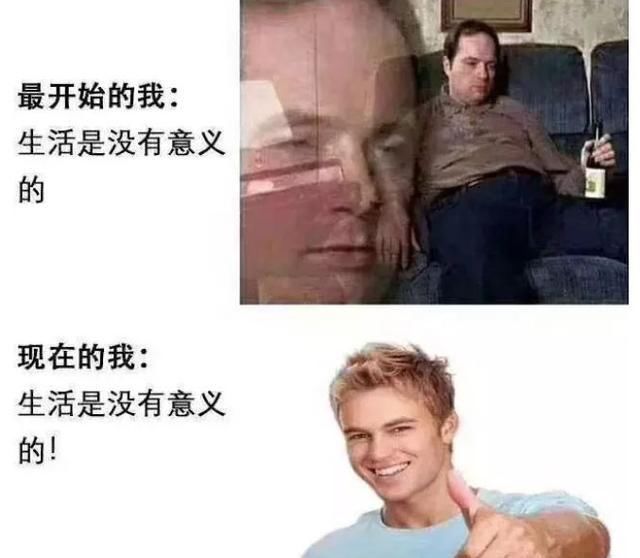 2019年朋友圈年度报告