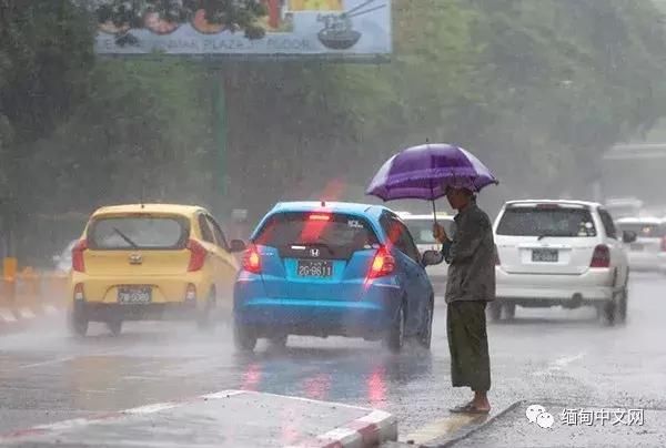 大风大雨太猛烈了！雨后的缅甸很受伤！