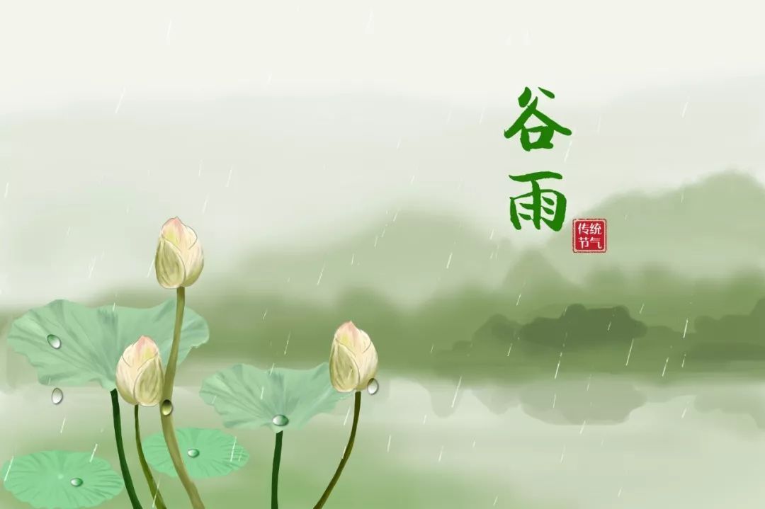 谷雨时光静好,读诗赏花饮茶