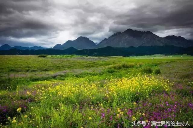 22个绝美的新疆小众草原