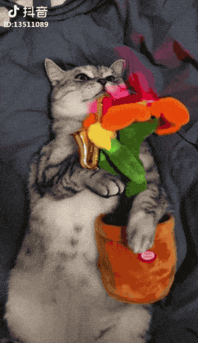 淘宝达人、抖音带货、小红书种草…揭秘电商营