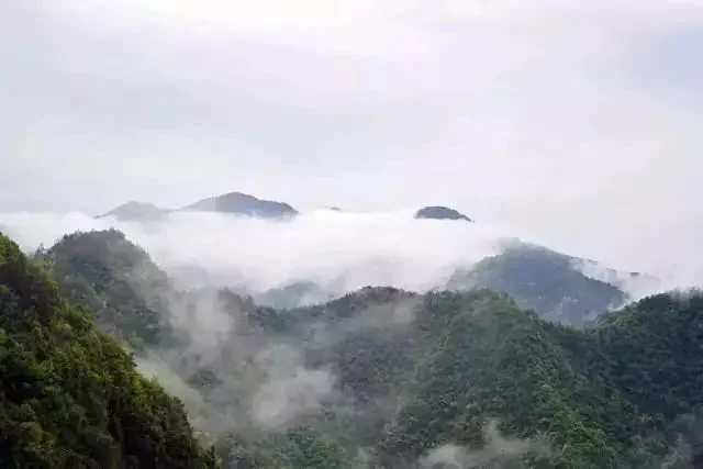 三都多少人口_贵州三都水族马尾绣