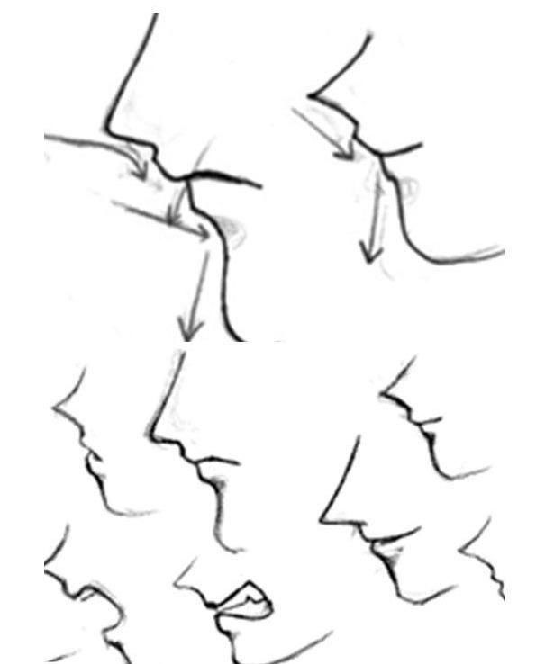 动漫初学者头部 初学者 动漫初学者