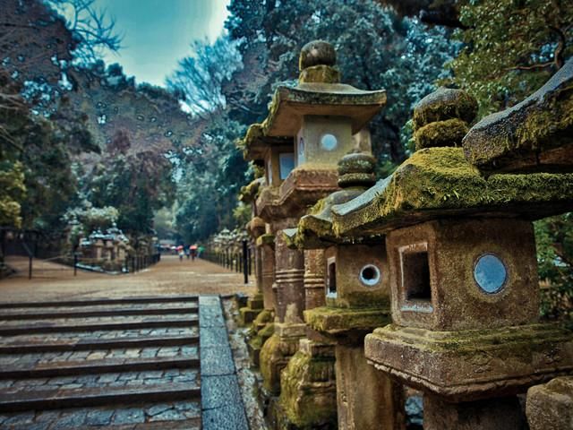 久旱逢甘霖，签证再简化，白本也可以拿日本多次往返签证