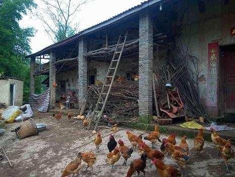 18年有可能成为土豪的3类农民，只要点头，几十万到手，有你吗?