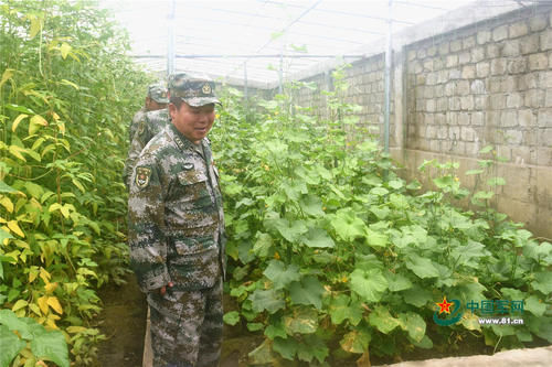 高原官兵谈种菜：吃不完，烂到地里也要种！