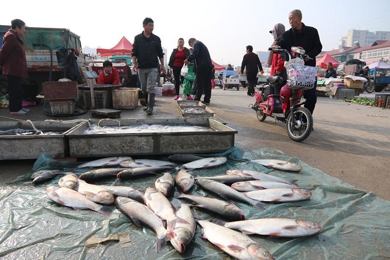 买鱼也有蹊跷事?精明大妈结账后问鱼贩子要走