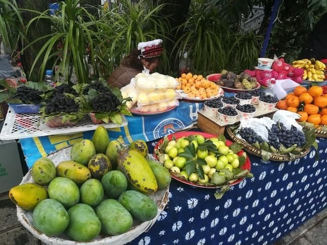 丽江、玉龙雪山、泸沽湖仙境游记
