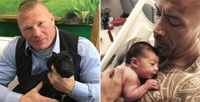 WWE巨星在现实生活中是怎样的?布洛克莱斯纳和巨石强森都很有爱_【快资讯】