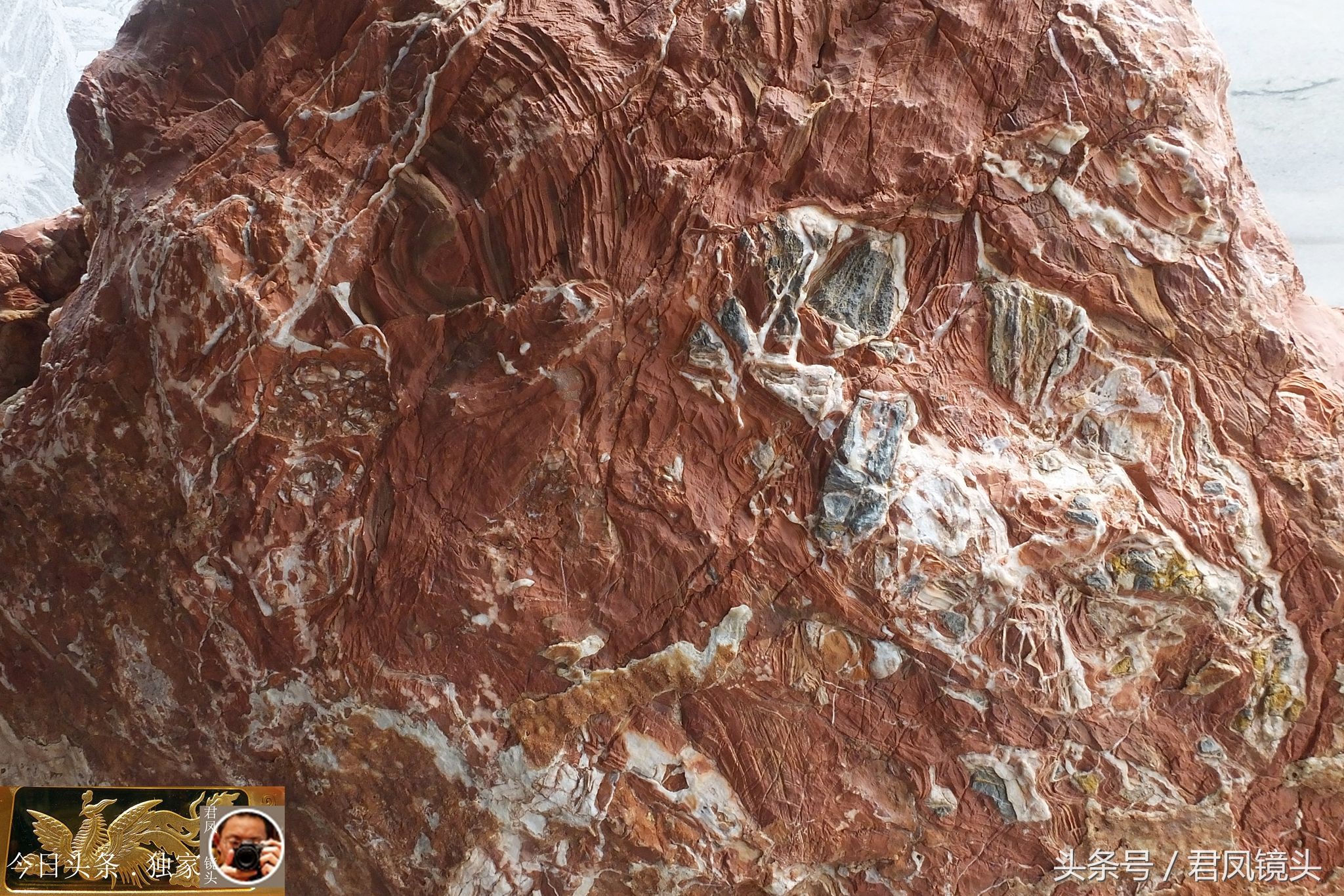 奇石摄影:园林景观石长相奇异!“大展宏图”售价580万元!