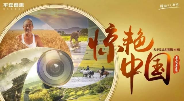 中国的公益公司