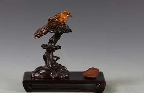 石头多了，什么鸟都有了！