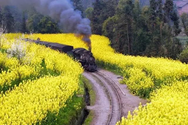 它是四川千年古县，私藏3月最美的春天，还有世界上仅存的景观！