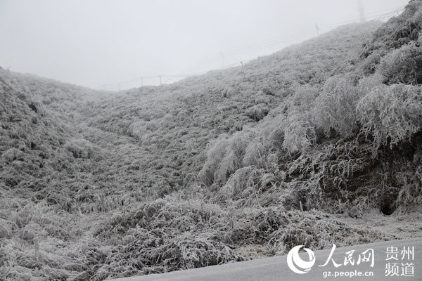 桐梓黄莲设立返乡人员接待站