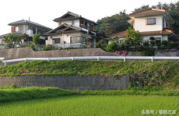 农村住房也要变成\＂小区\＂样式了，统一管理规划，农民能适应吗