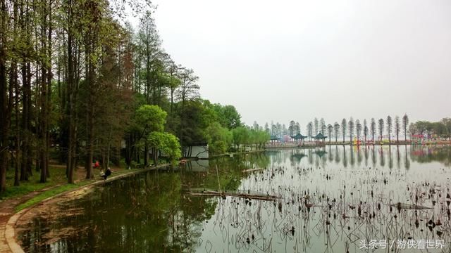 武汉漫行:东湖沿湖路走走
