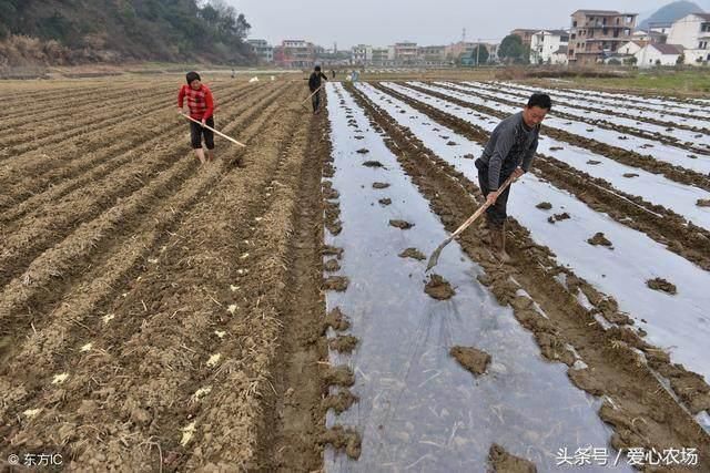 为什么，农民要“外出打工”才能养活家？专家的说法“戳疼”人心