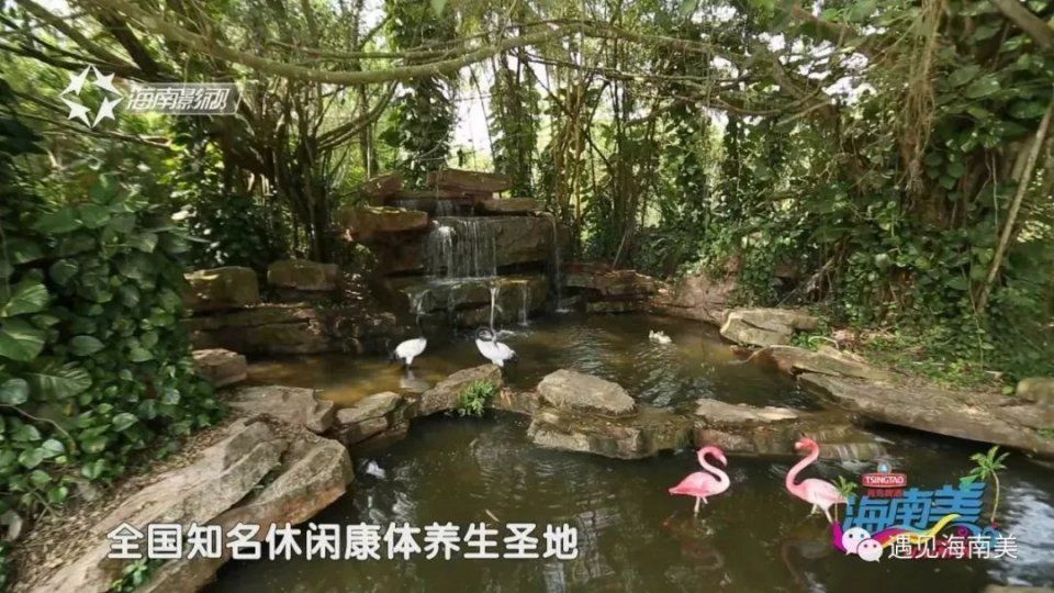 海南旅游三十年静美定安，祥和家园!