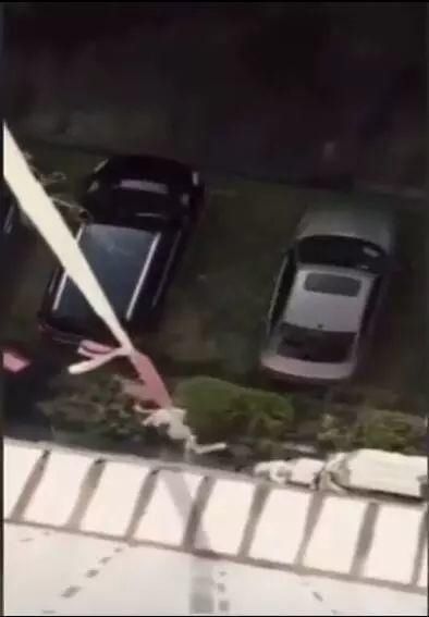 最强前女友,求周杰伦演唱会上diss前男友