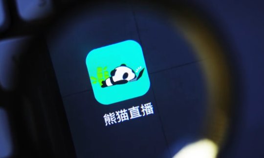 熊猫互娱的股东