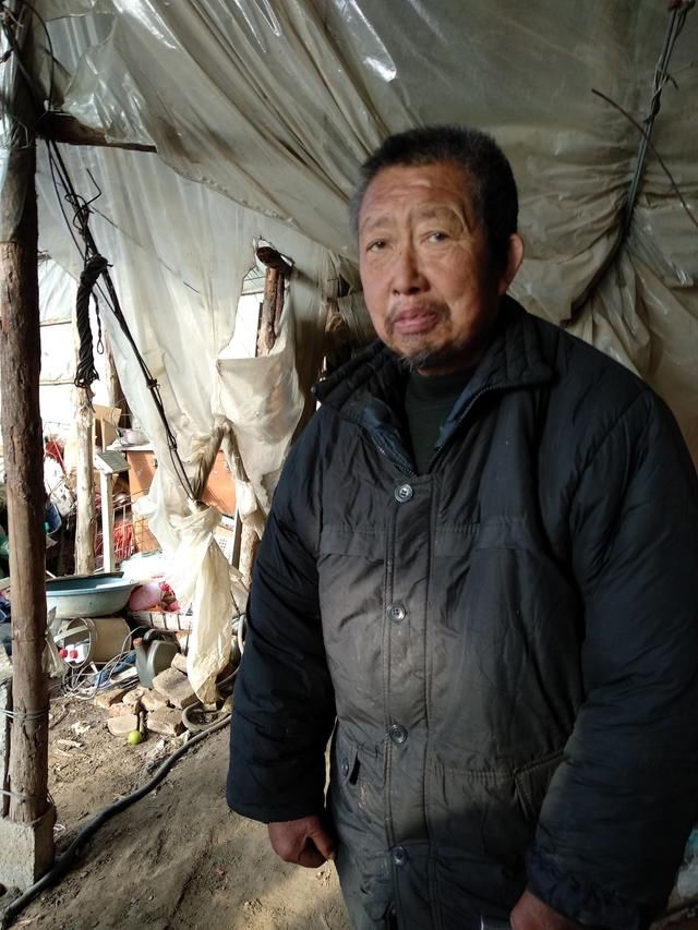 大棚蔬菜卖五块钱一斤，种植蔬菜大棚究竟赚不赚钱?他是这么说的