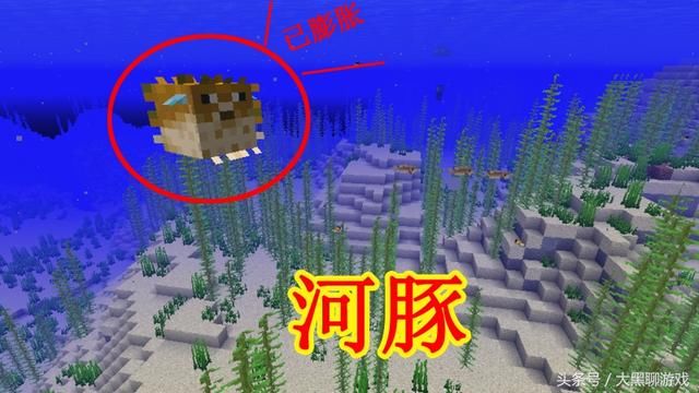 我的世界1.13最新版：新增1种最快生物、1种最矮生物和4种鱼类！